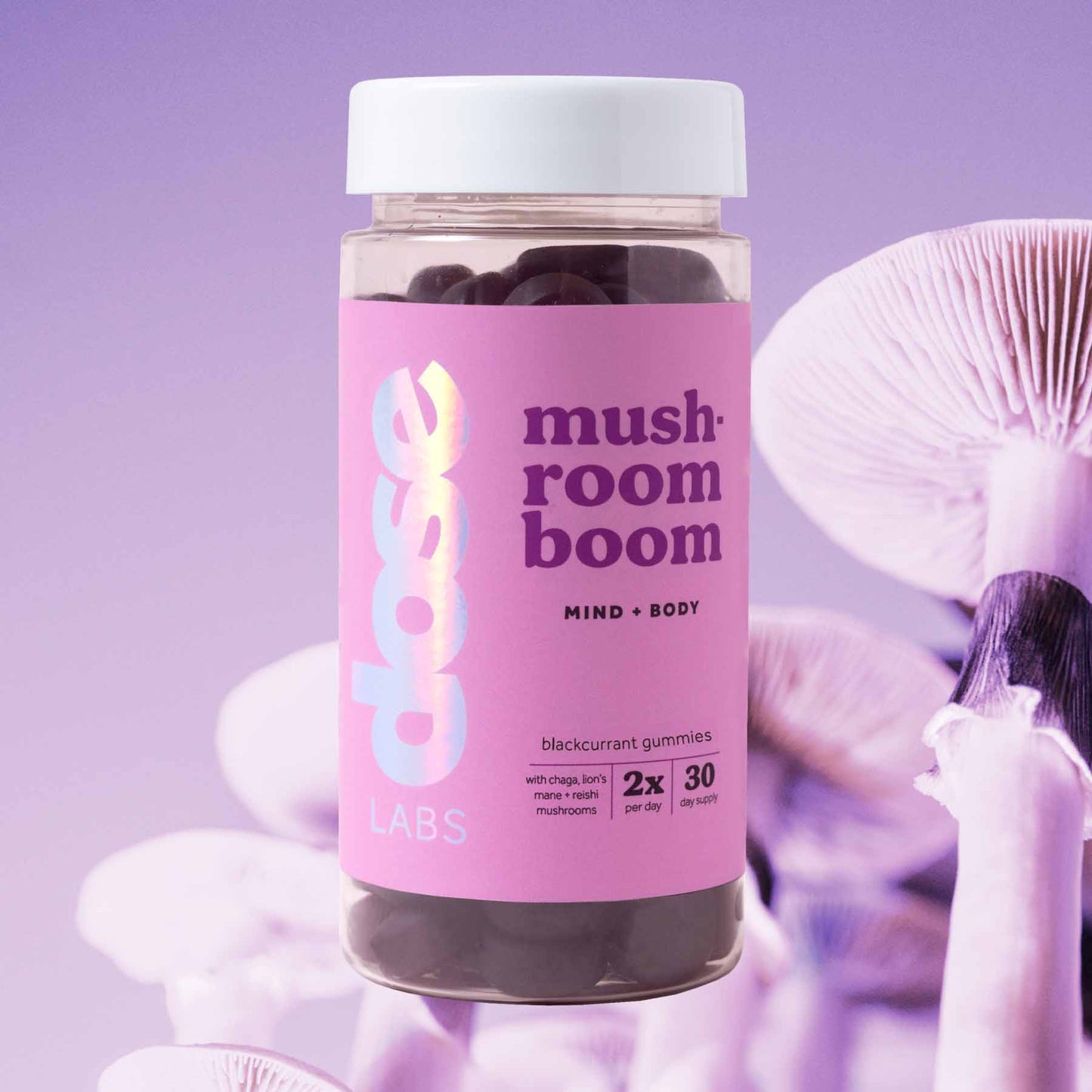 mushroom boom